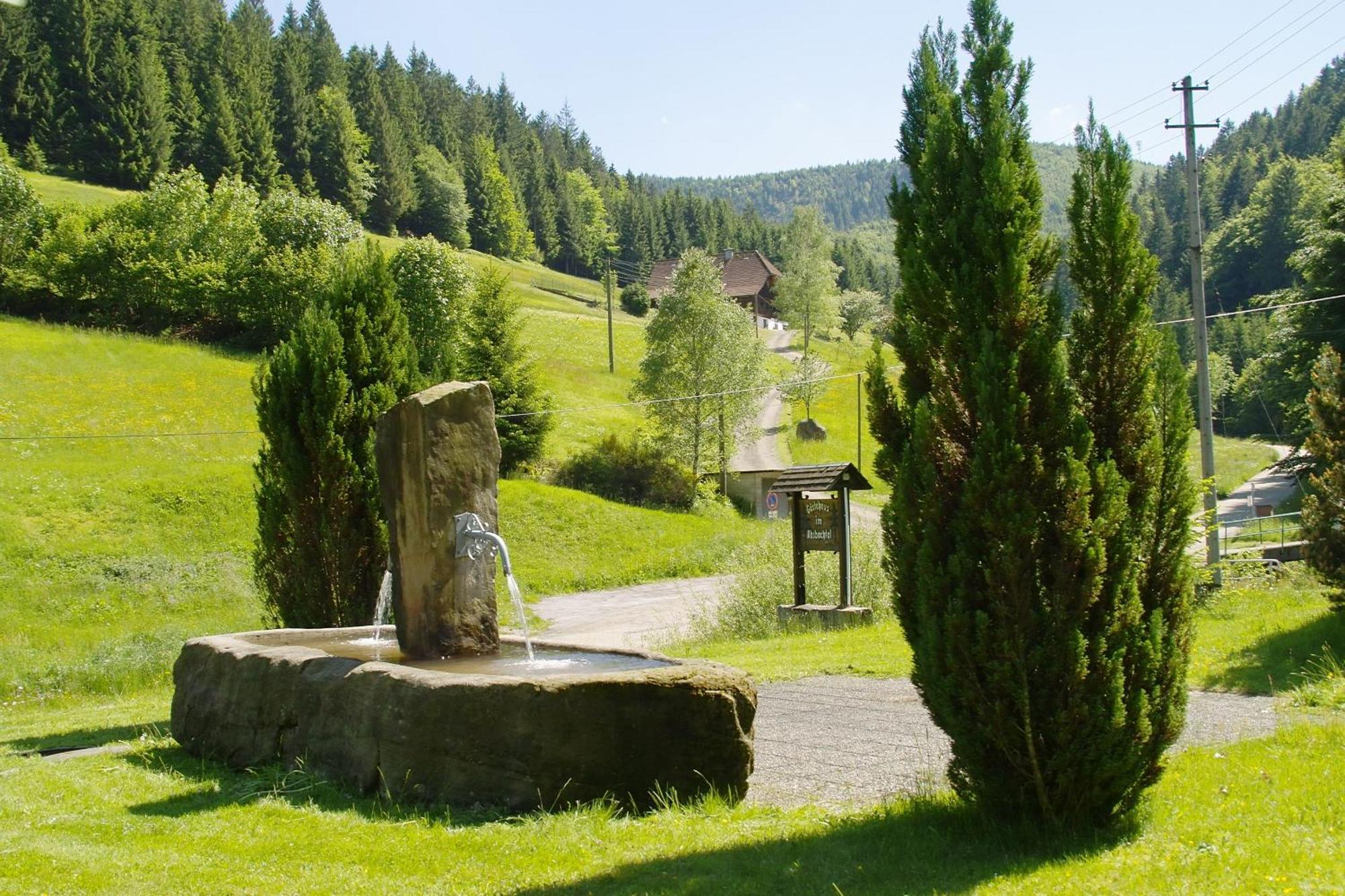 Gaestehaus Absbachtal Bad Rippoldsau-Schapbach Екстериор снимка