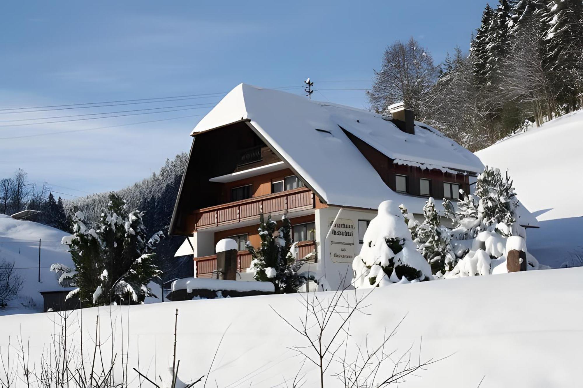 Gaestehaus Absbachtal Bad Rippoldsau-Schapbach Екстериор снимка